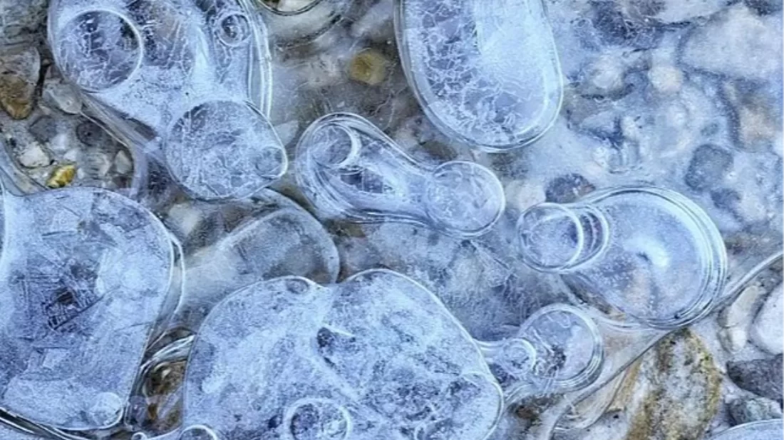 Çinli bilim insanları Antarktika’da yeni bakteri türleri keşfetti