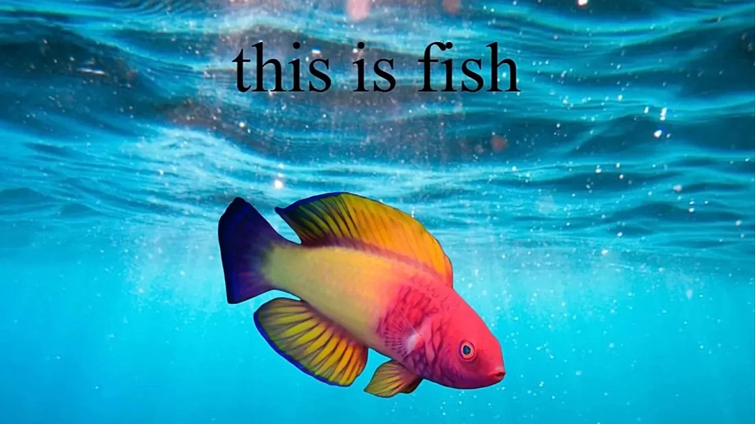 İnternette 1990'lara Dönüş Hareketi: Indie Web Yükselişte