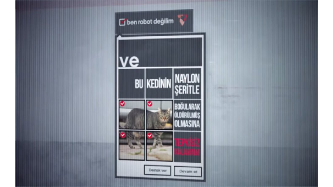 Vestel ve Regal’e 4 Kristal Elma