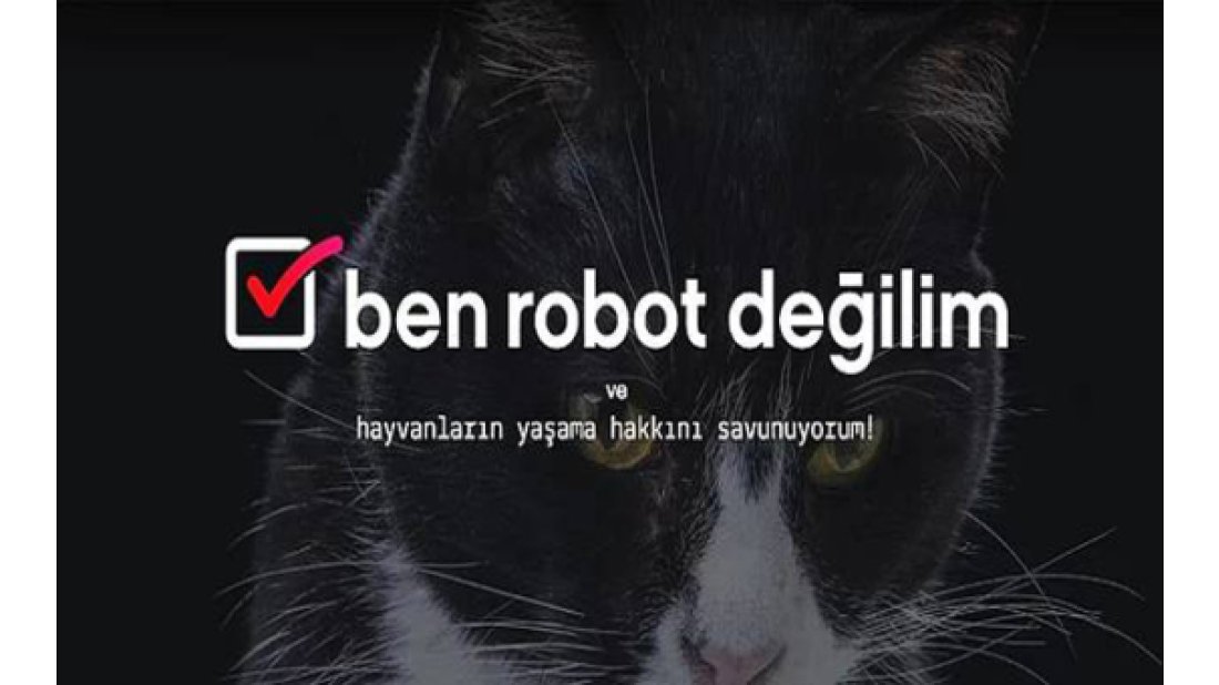 Ben Robot Değilim, Cannes’e gidecek