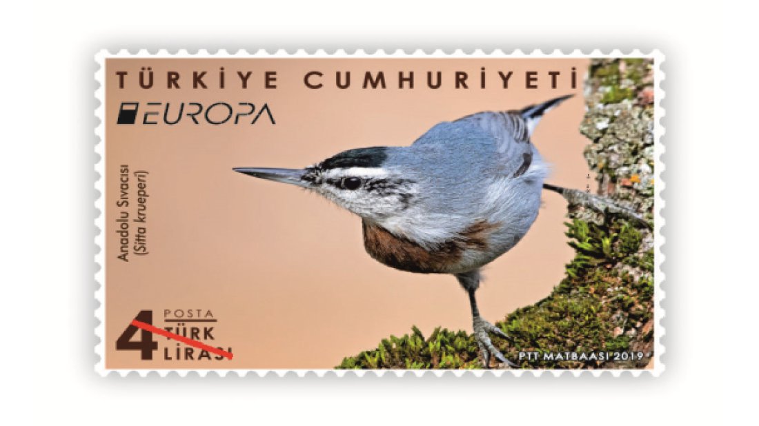 Avrupa'nın En İyi Gümüş Pulu Ödülü, PTT'nin oldu